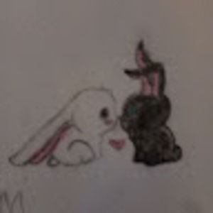 Meet your Posher, Paula